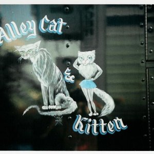 alley cat & kitten