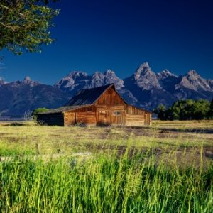 In the Shadow of the Tetons