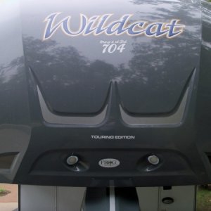 Wildcat Cap