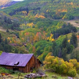 Fall Homestead