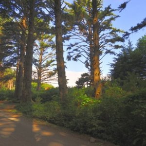 Pacific City RV and Camping Resort, Oregon