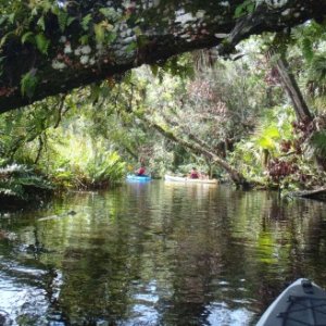 Chassahowitzka River, Aug '14