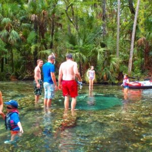 Chassahowitzka River, Aug '14