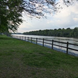 Behind the trailer looking North up the river.