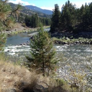 Looking down at the river