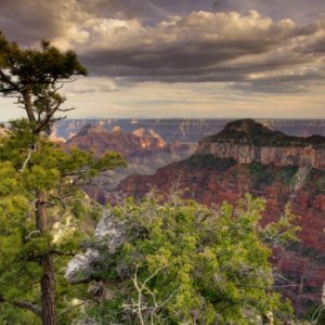 Transept Canyon, North Rim, Grand Canyon