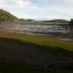 Low tide 9:40am June 6th