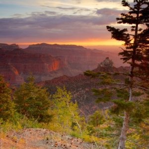 Artistic Sunrise, North Rim, Grand Canyon