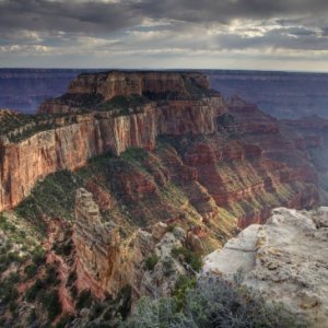 Cape Royal Evening, North Rim, Grand Canyon