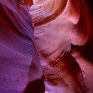 Serine Moment, Lower Antelope Canyon, Navaho Tribal Park