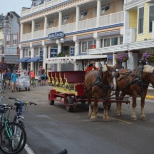 The two primary modes of transportation on Mackinac Island:  horses and bicycles.