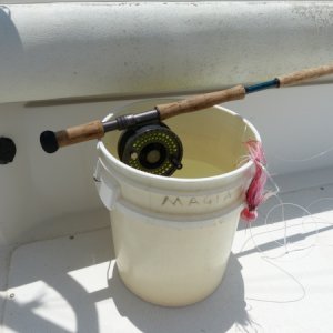 Fly rod waiting for billfish action