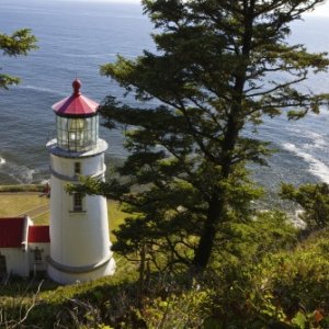 Heceta Head