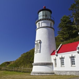 Heceta Head