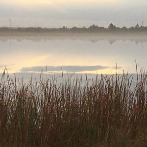 Gulf State Park Lake