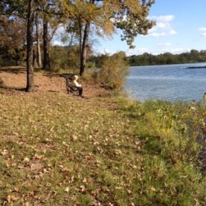 Beautiful Fishing Weather