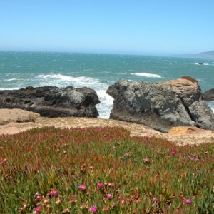 2010 5 5, Bodega Bay