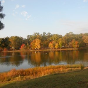 2011, Natchez St Pk, MS