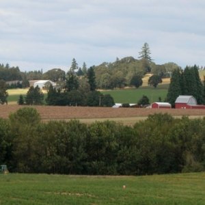 2012, Silverton, Or., Willamet Valley Farm Land