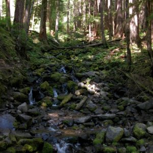 2012  Sol Duc Falls, Olympic NF