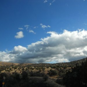 2013  Gila Na Forrest,  NM