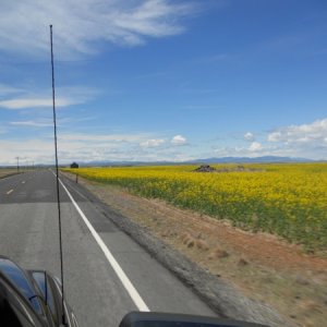 2014 5 9, Enroute to Lake Chelan