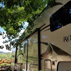 Tree in the way of camper at our temporary "site" at Bauers Ranch RV park in Glendale, Utah