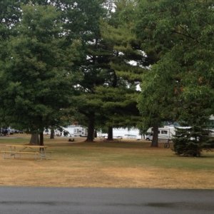 View of the park from our site. Grass Point State Park ...
Clayton Point State Park, NY