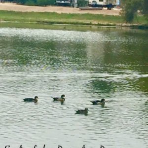 Our rig @ Santee Lakes Recreation Preserve - Santee, CA - Sept 2016