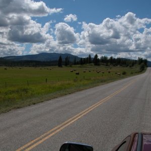 2016   Usk bale field