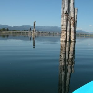 2016 River Piling Pend Oreille River, Wa