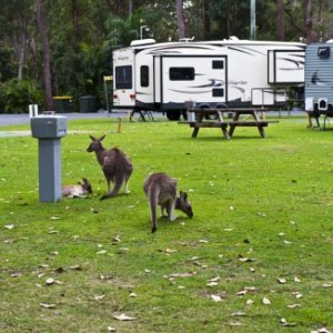 Darlington Beach Carindi NSW