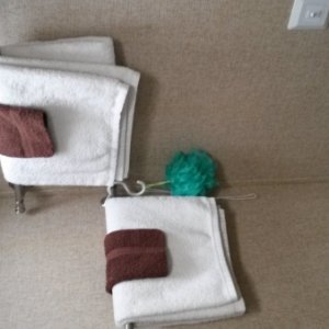 Bathroom Towel Holders