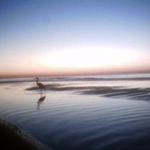 Sunrise on Orange Beach Alabama in November of 2009