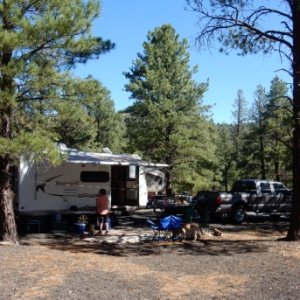 Bonito Campground near Sunset Crater