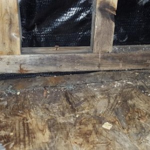 water damaged floor