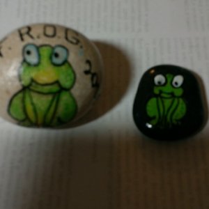 Cheerful frogs. We paint kindness rocks and leave them in places we visit.