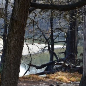 Garner SP Tx Hill Country