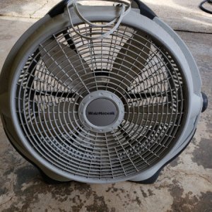 Fan