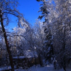 a heavy snow in Wasilla Alaska