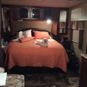 Camper interior w:Spike