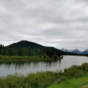 Nice early June image just a few miles in to the Tetons from Moran WY.