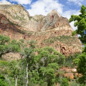 Zion NP