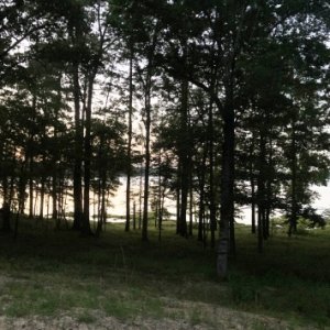 Percy Quin State Park in Mississippi