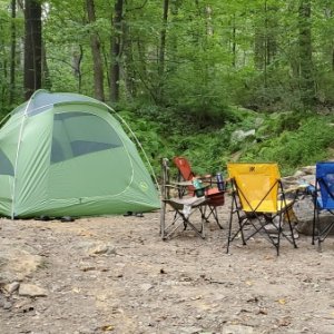 Wooded camping