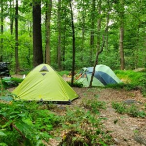 Wooded camping