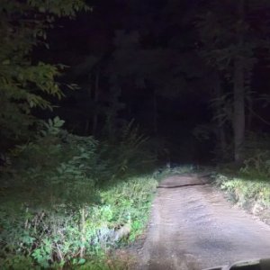 Trail night