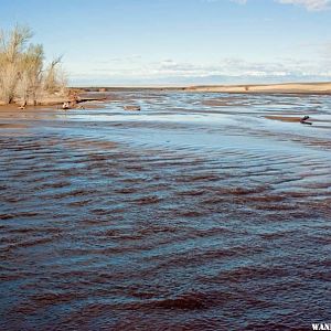 Medano Creek