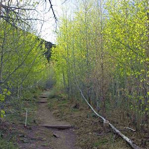 The start of Montville Trail