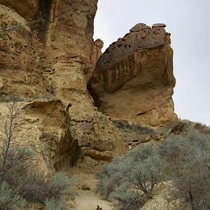 Succor Creek (20).JPG